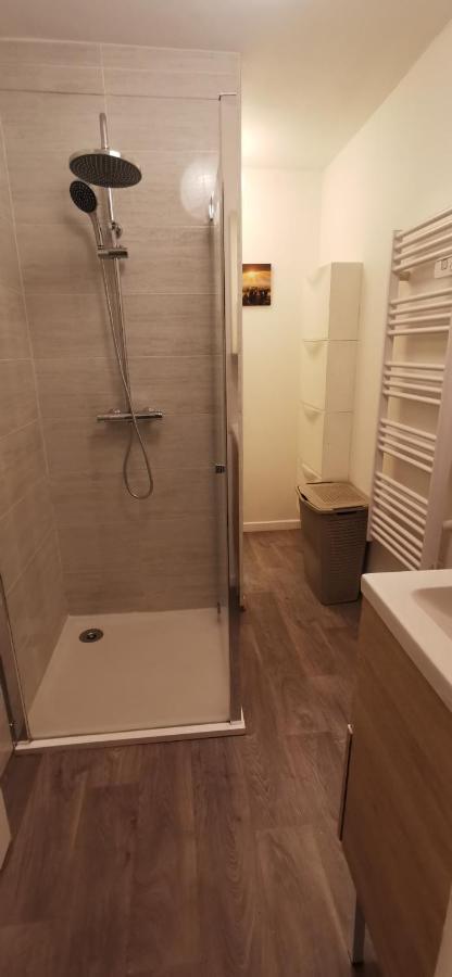 Appartement Cosy Proche Du Centre Ville De Macon H Exterior foto